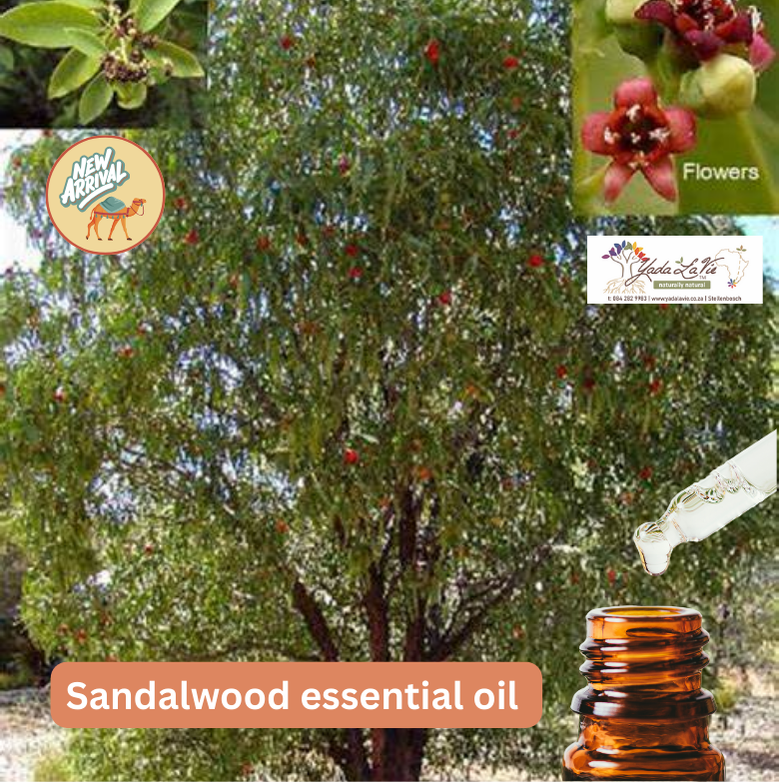 *SANDALWOOD (real) organic pure EO