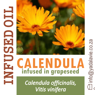 CALENDULA infused oil