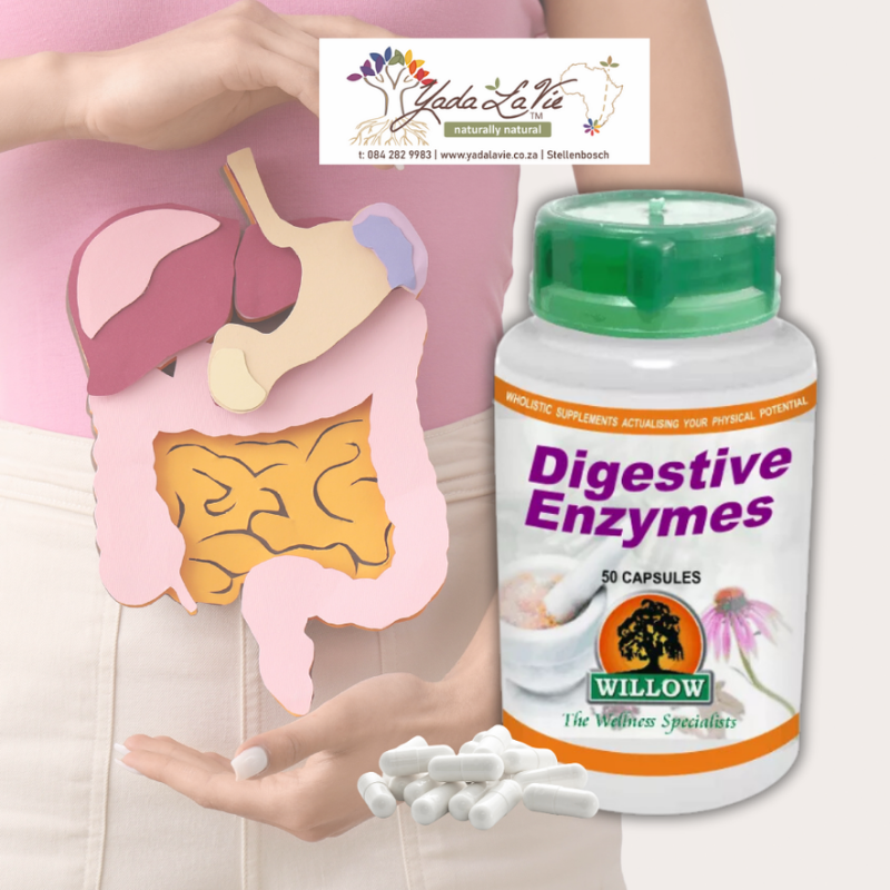 DIGESTIVE ENZYMES veg-caps