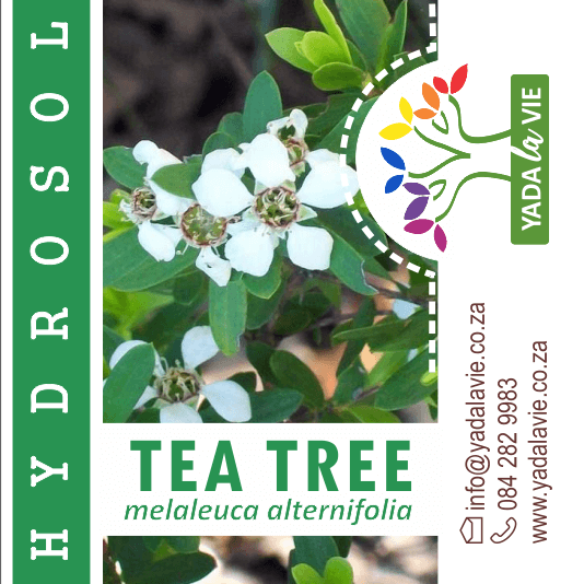 *TEA TREE hydro (organic)