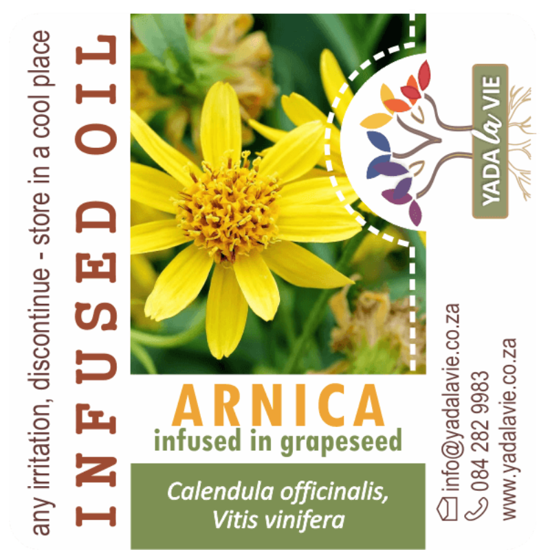 ARNICA infused oil