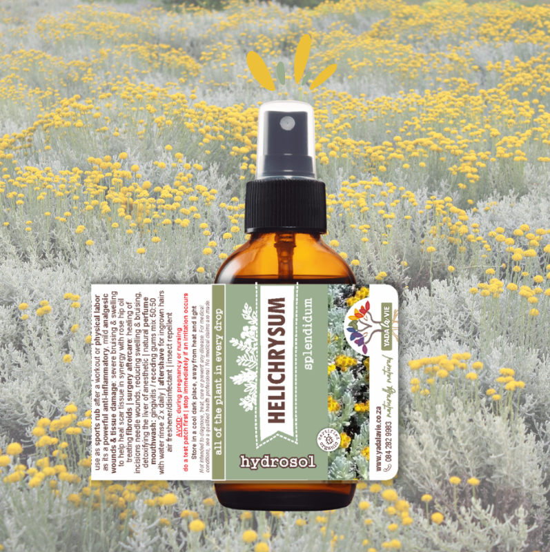 HELICHRYSUM splendidum hydrosol