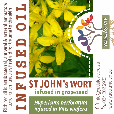 St JOHN's WORT infused oil