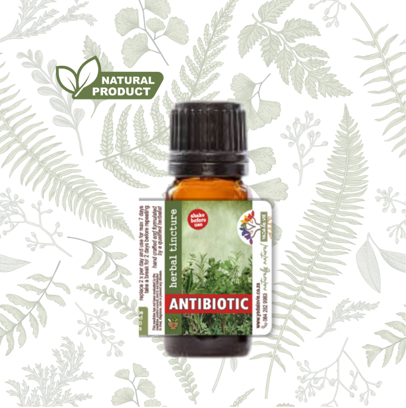 natural ANTIBIOTIC tincture