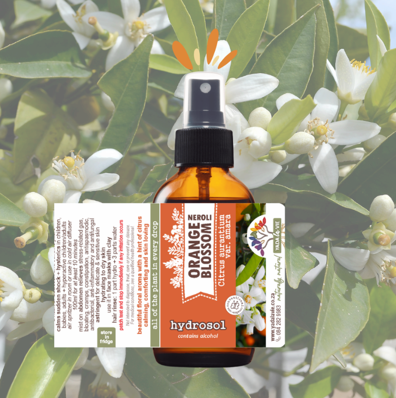 ORANGE BLOSSOM (Neroli) hydrosol