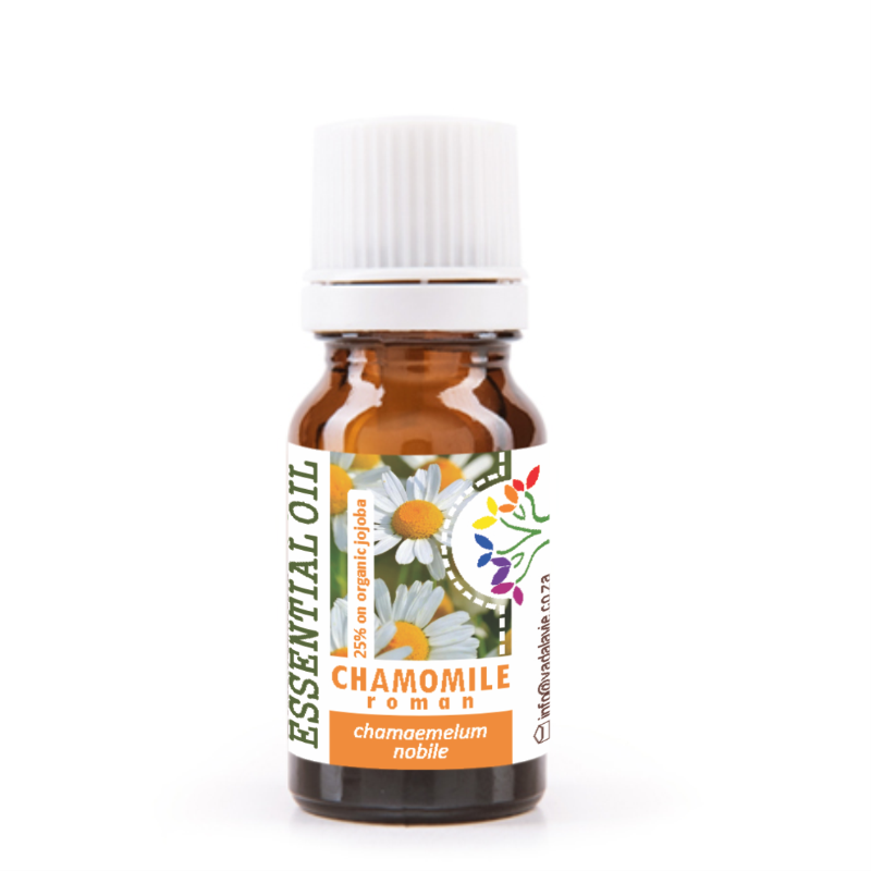 CHAMOMILE (Roman) - 25% pure EO blend