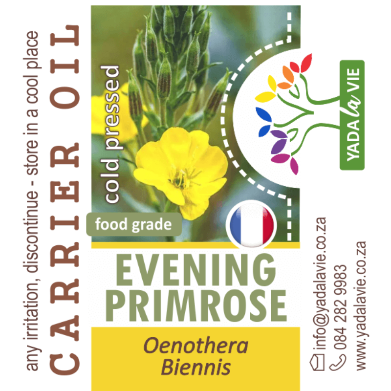 EVENING PRIMROSE c/p oil