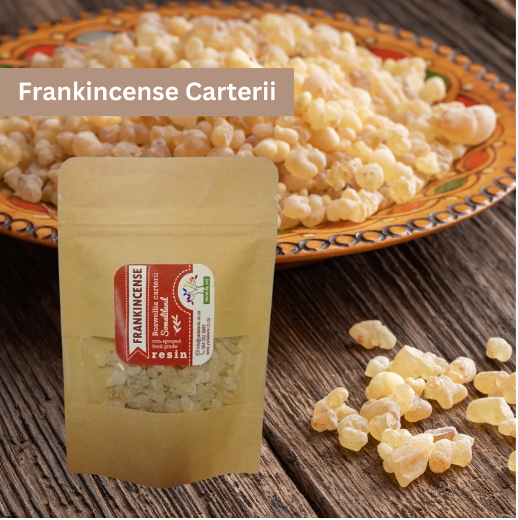 FRANKINCENSE (carterii) resin