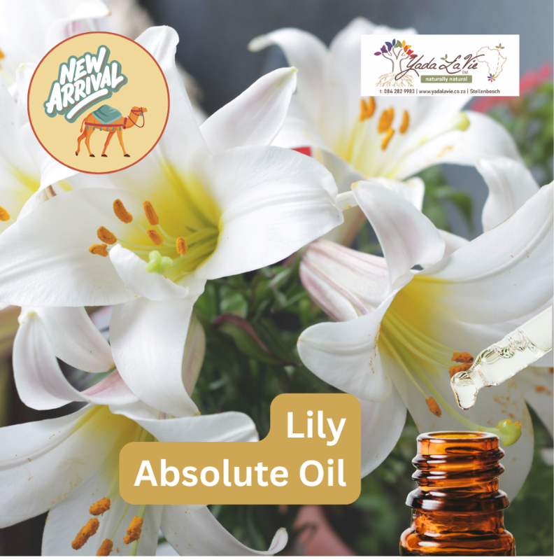 *LILY organic Absolute Oil