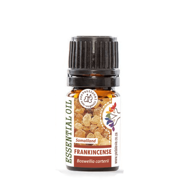 FRANKINCENSE (Carterii) pure EO