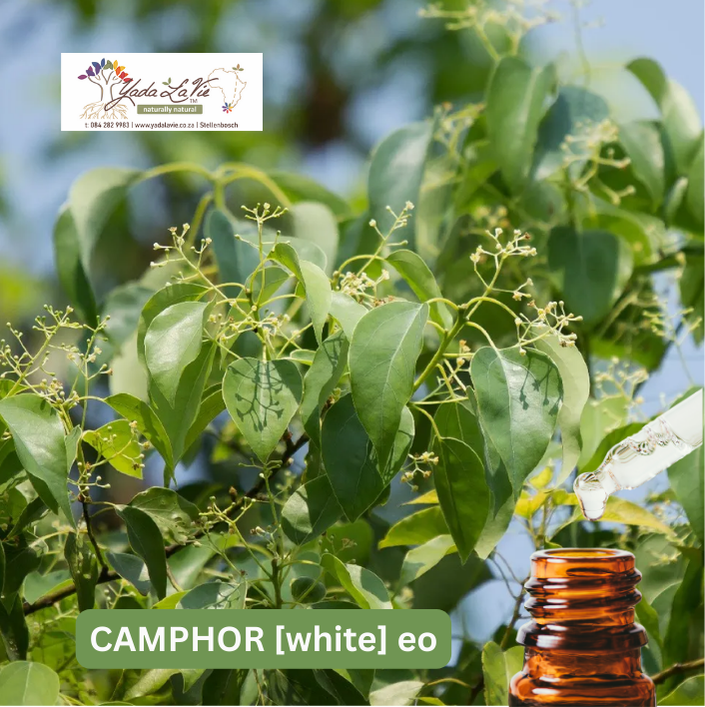 CAMPHOR [white] pure EO