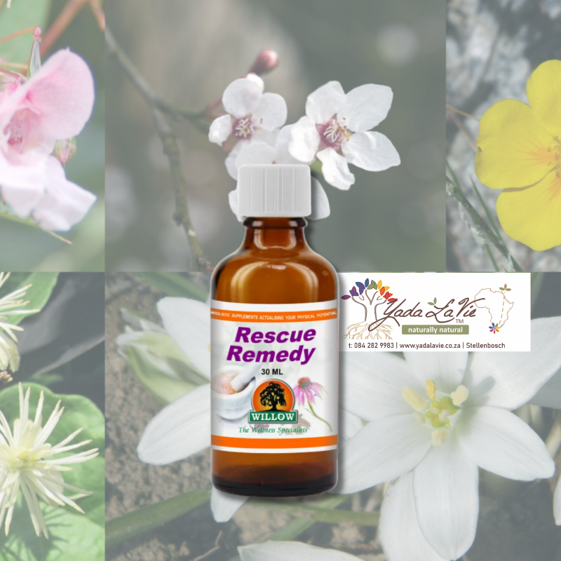 RESCUE REMEDY tincture drops