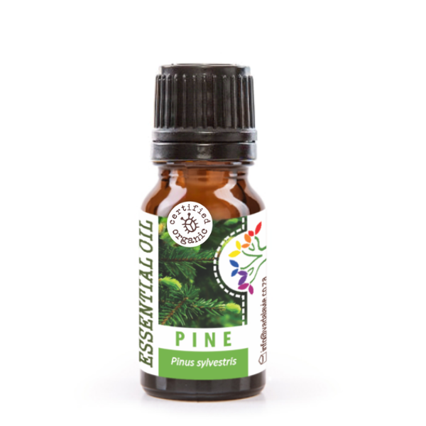 *PINE organic pure EO