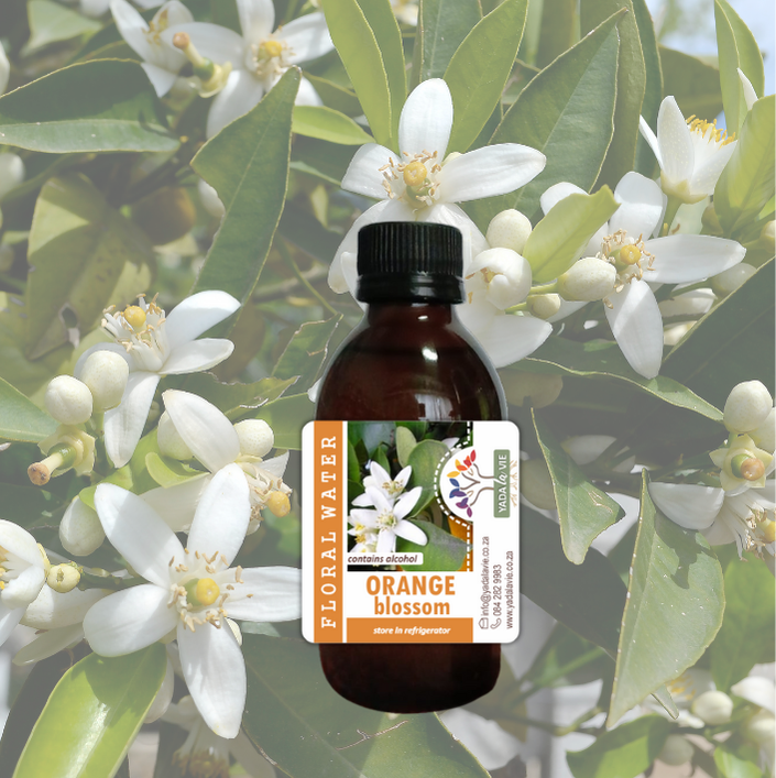 ORANGE BLOSSOM (Neroli) hydrosol