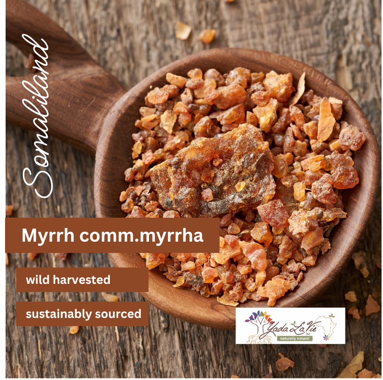 MYRRH (Somaliland) resin