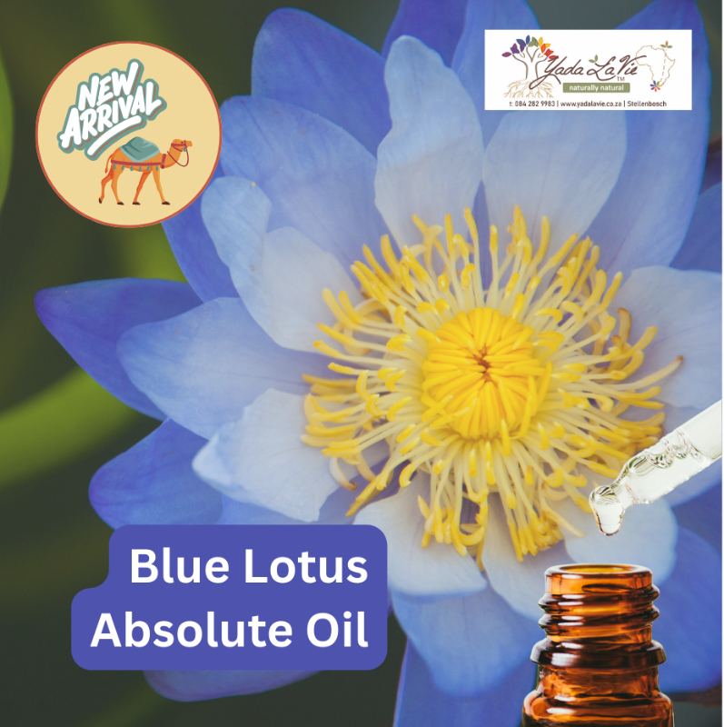 *BLUE LOTUS organic Absolute Oil