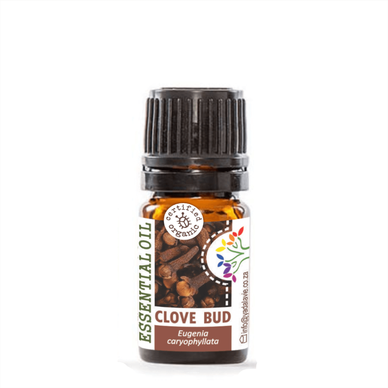 *CLOVE BUD org pure EO