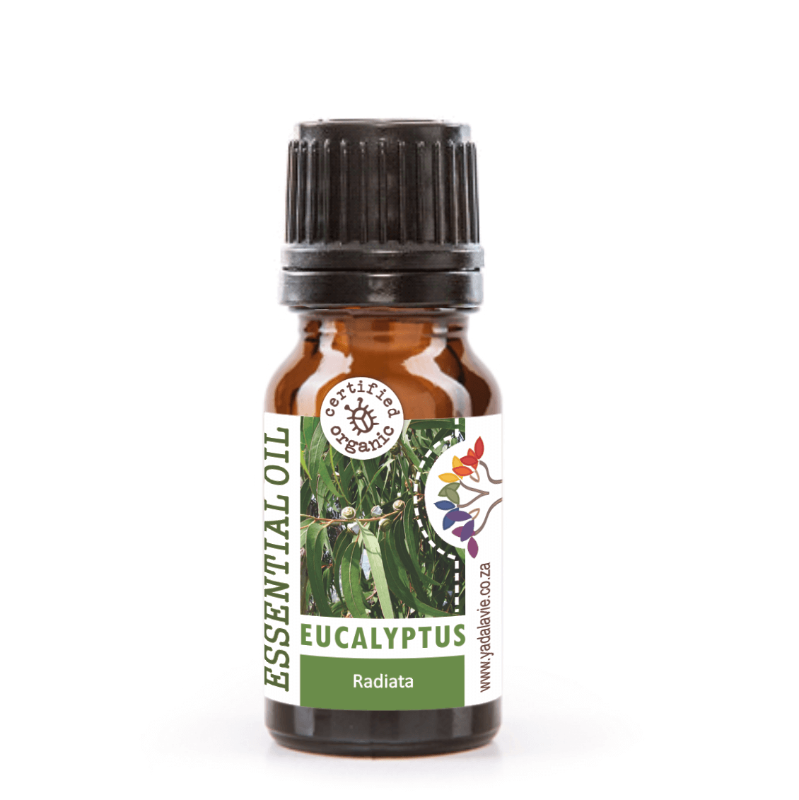 *EUCALYPTUS (radiata) org pure EO