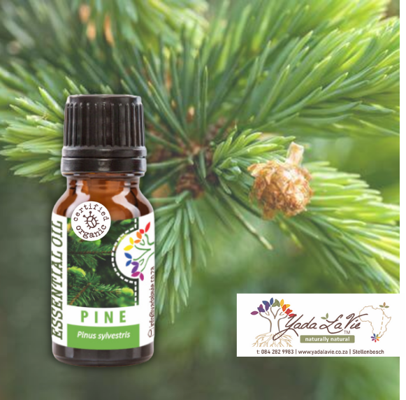 *PINE organic pure EO