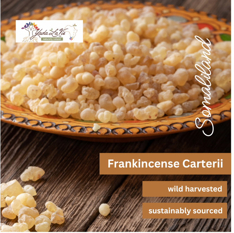 FRANKINCENSE (carterii) resin