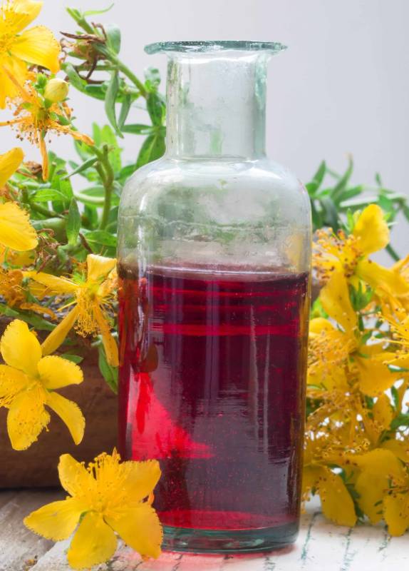 St JOHN's WORT infused oil