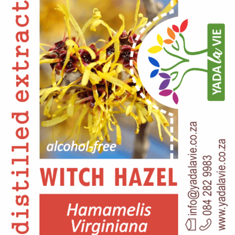 WITCH HAZEL [alcohol-free]