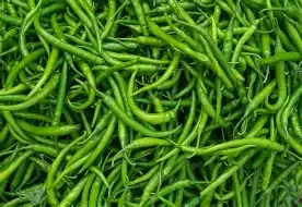 green chilli