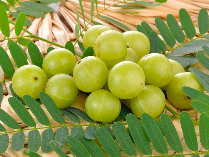 Gooseberry (Amla)