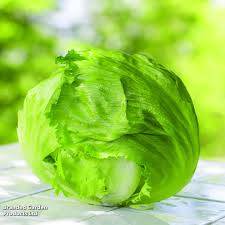 Ice berg Lettuce