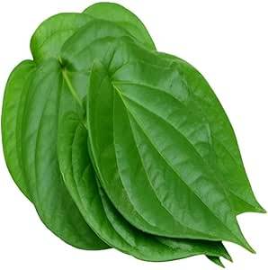 Betel Leaf