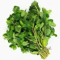 Mint leaves