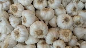 Indian Garlic