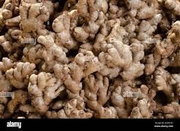 Ginger