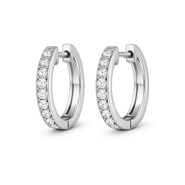 Classic Hoop Earrings