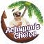 Achayan's Choice