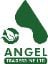 ANGEL TRADERS NE LTD