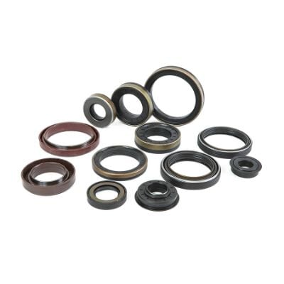 EV Oil Seals & Lubricants