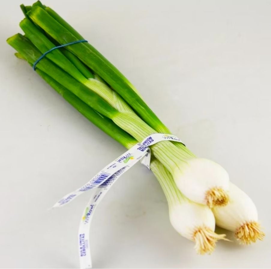 CS CEBOLLA MEX 24 BUNCH