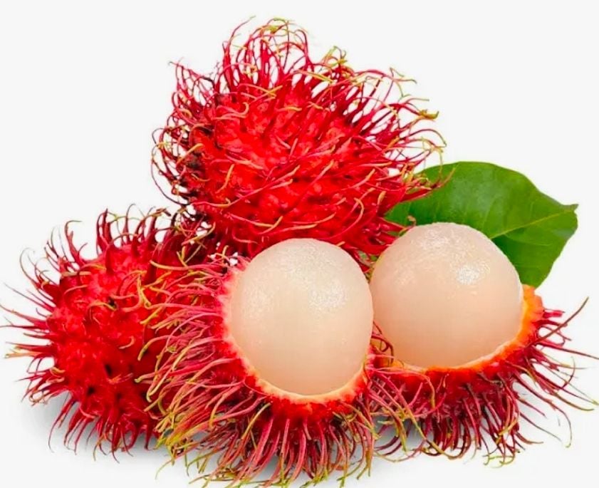 CS RAMBUTAN 15 LBS