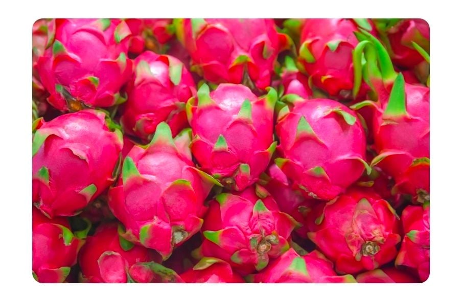CS DRAGON FRUIT 6-8 PZ