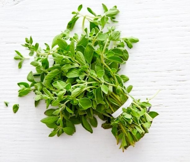 DZ OREGANO