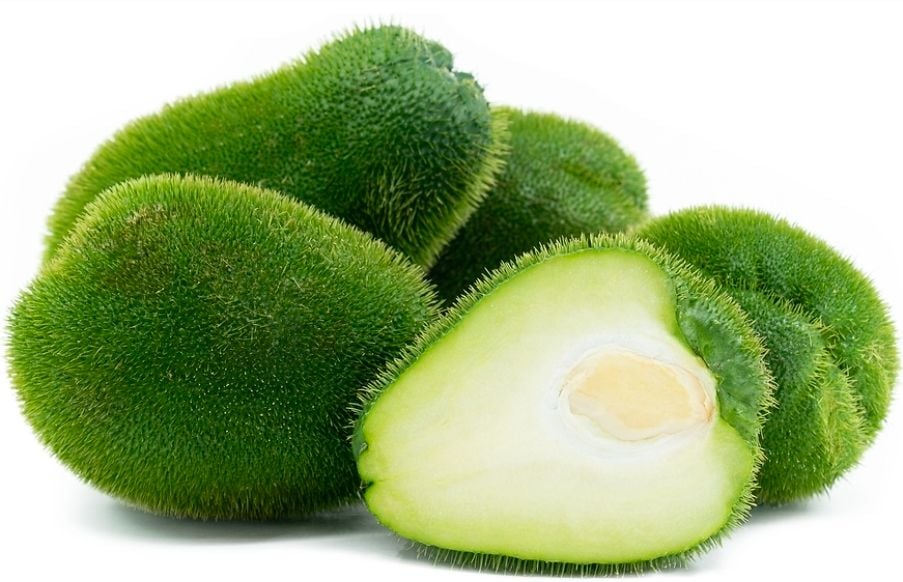 CS CHAYOTE ESPINA 30 LBS