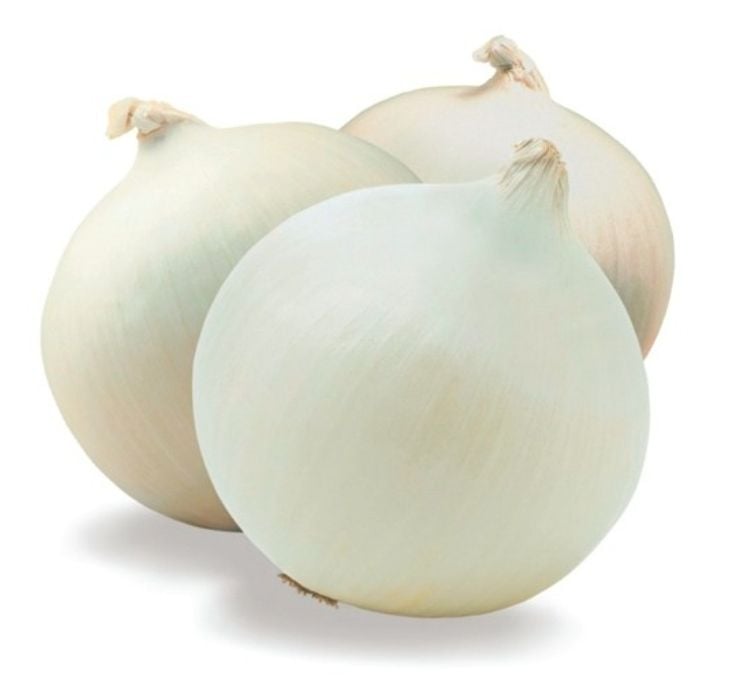 SACK CEBOLLA BLANCA 50 LBS