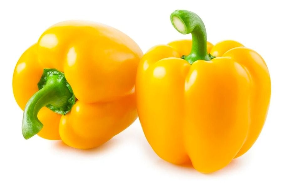 CS CAMPANA AMARILLO 22 LBS