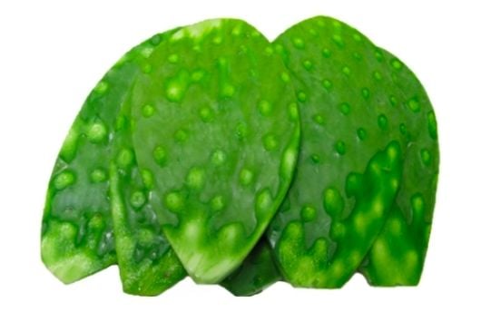 NOPAL ENTERO 1 LB