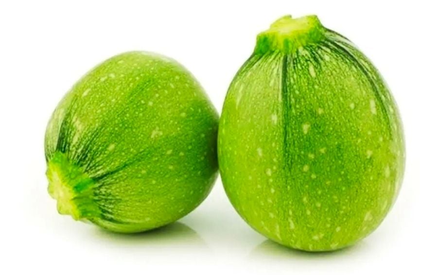 CS CALABAZA BOLA 20 LBS