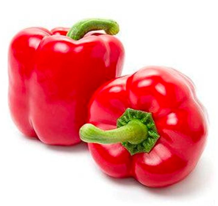 CS CAMPANA ROJO 22 LBS