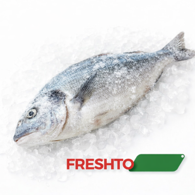 frozen fish
