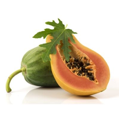 Hạt Giống Đu Đủ - Bông Điên Điển