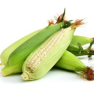 Hạt Giống Bắp [ Ngô ]